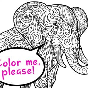 Best Coloring Books for Adults Thumbnail
